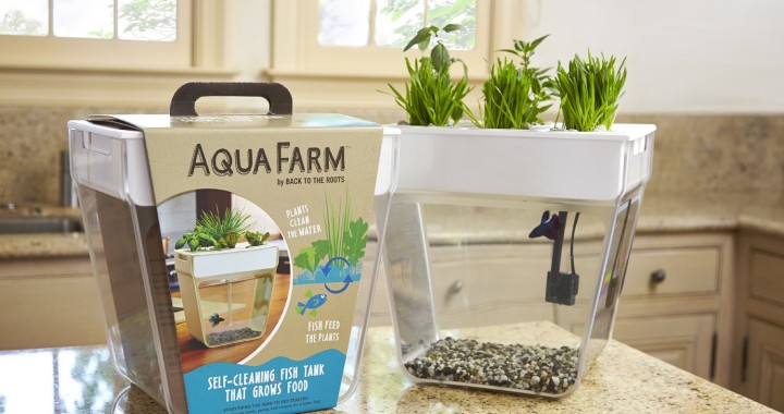 aqua farm akwarium