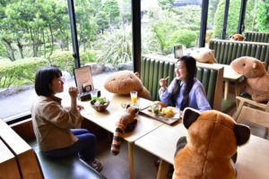 Japońskie Zoo, aby wspierać dystans społeczny, ustawia pluszowe kapibary w restauracji