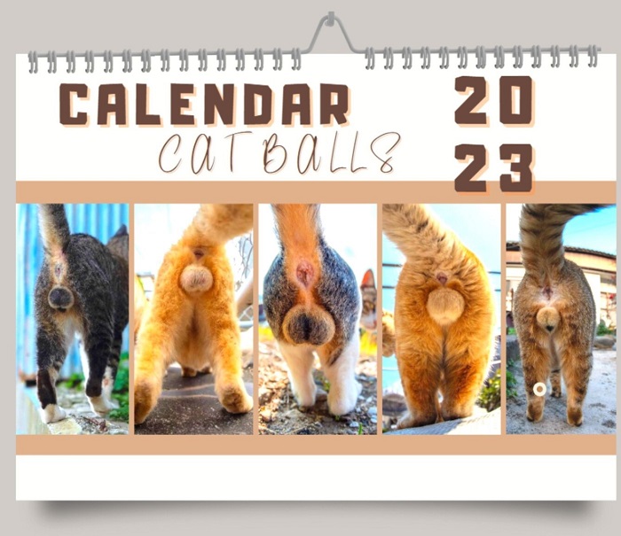 kalendarz kocie zadki