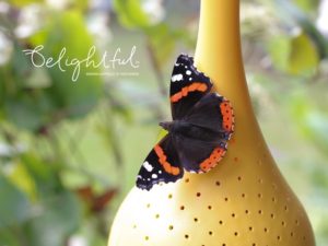 Karmnik dla motyli Butterfly Oasis by Belightful Design