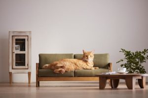 Miniaturowe meble wypoczynkowe dla kotów, prosto z Japonii