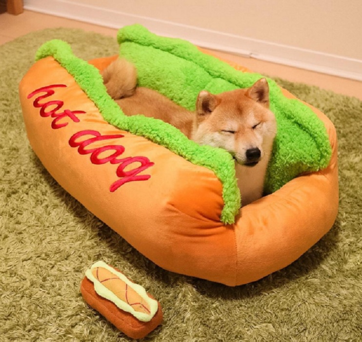 poslanie hot dog