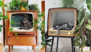 retro telewizor poslanie dla kota gadzety 2