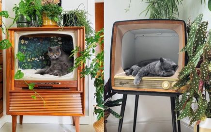 retro telewizor poslanie dla kota gadzety 2