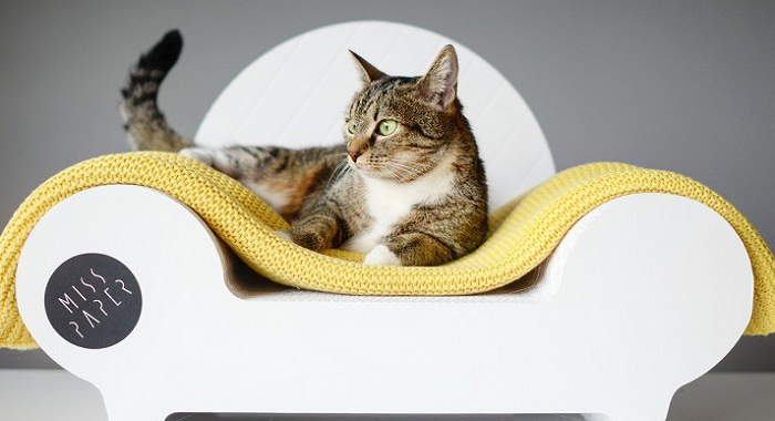 sofa dla kota misspaper