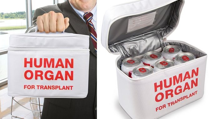 torba na lunch human organ